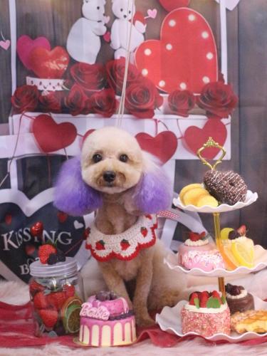 20250228ココちゃん